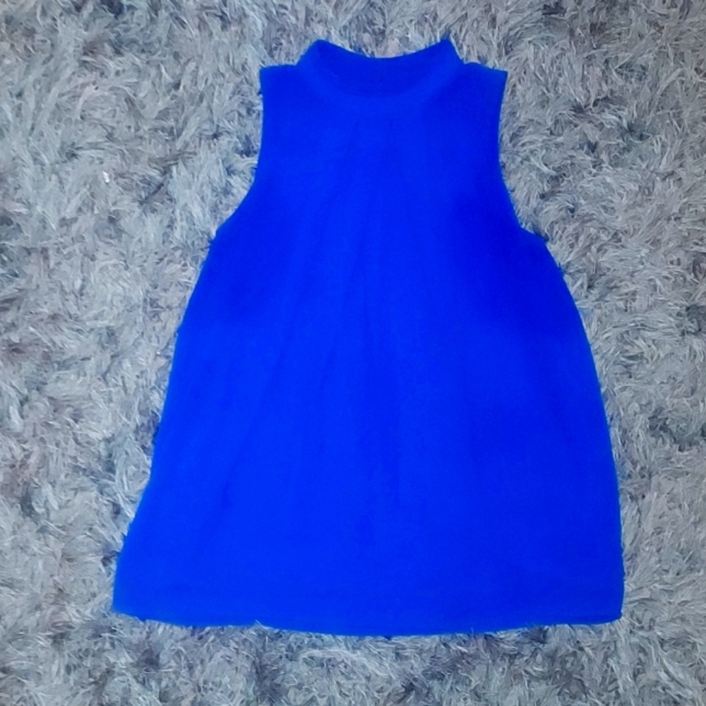 Naked Zebra Blue Blouse Size Large